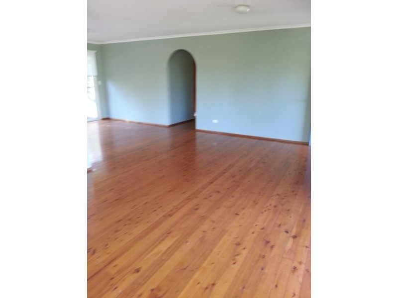 5 Butler Street, Tewantin QLD 4565