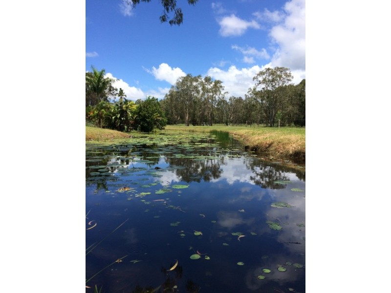 15 Yatama Place, Cooroibah QLD 4565