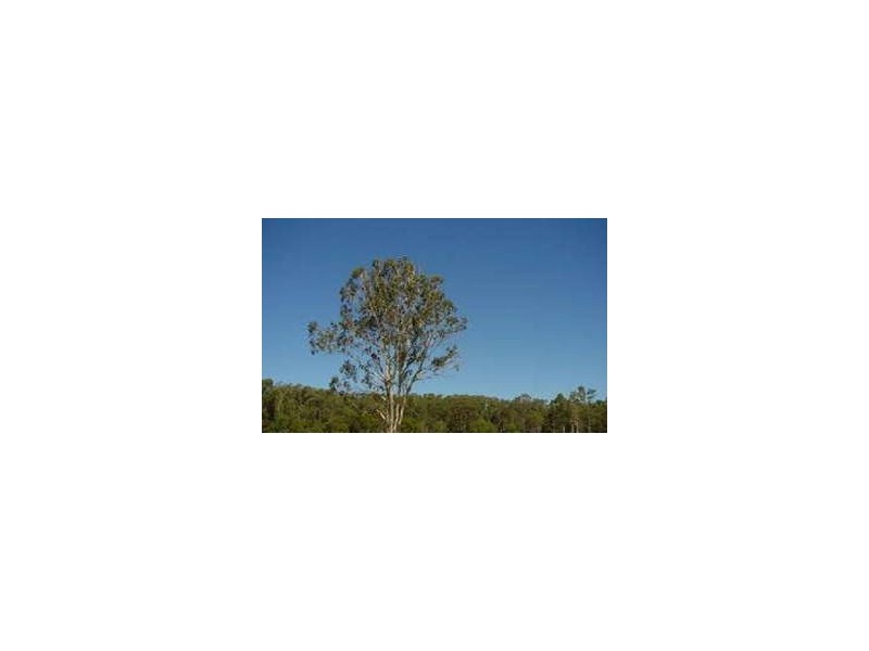 59 Lake Flat Rd, Boreen Point QLD 4565