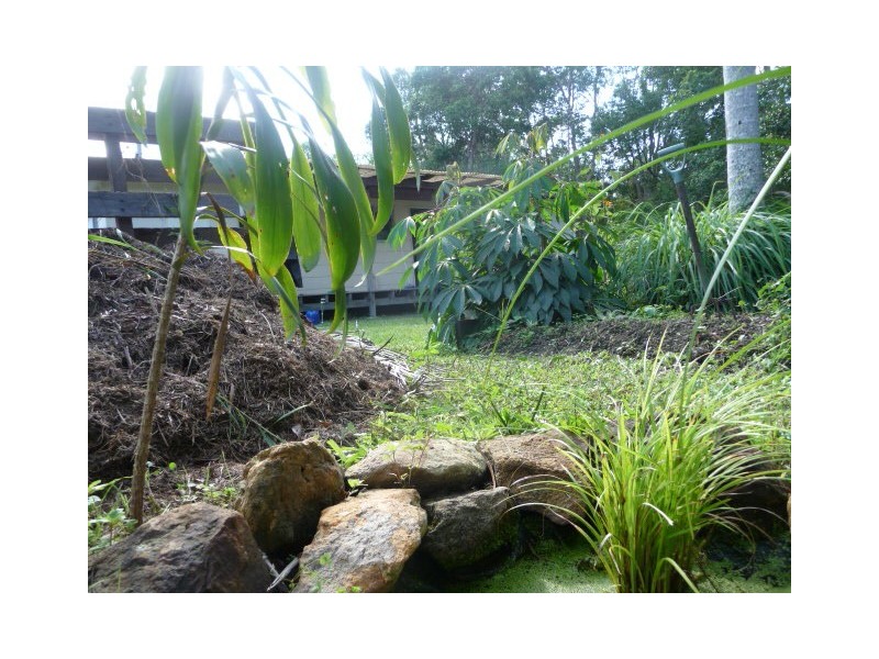 54 Butler St, Tewantin QLD 4565
