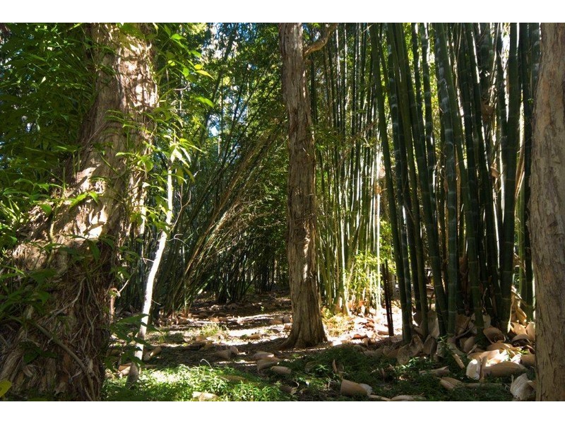 14 Sail Street, Noosaville QLD 4566
