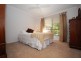 Tewantin QLD 4565
