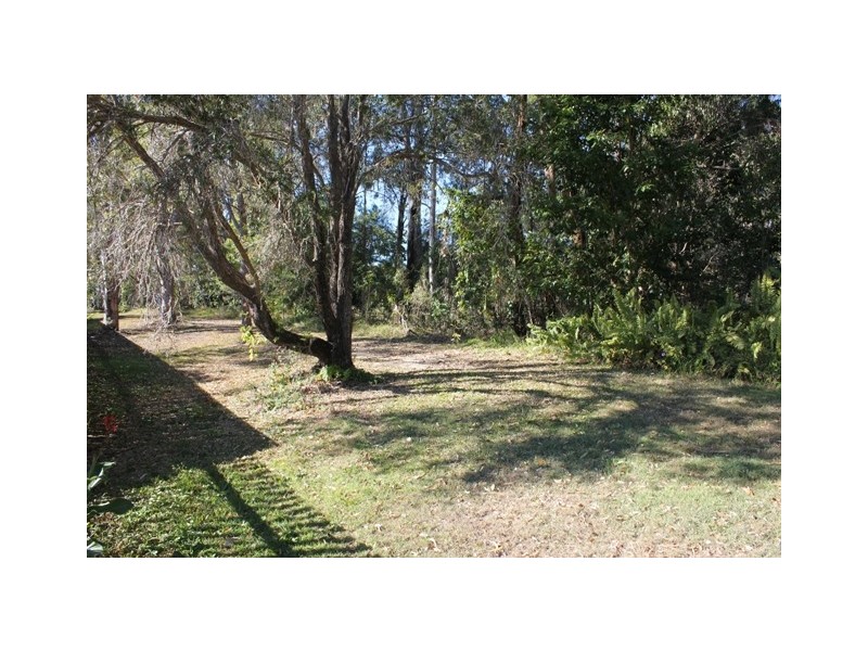7 Sundial Court, Tewantin QLD 4565