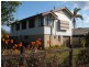 79 Poinciana Avenue, Tewantin QLD 4565