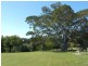 79 Poinciana Avenue, Tewantin QLD 4565