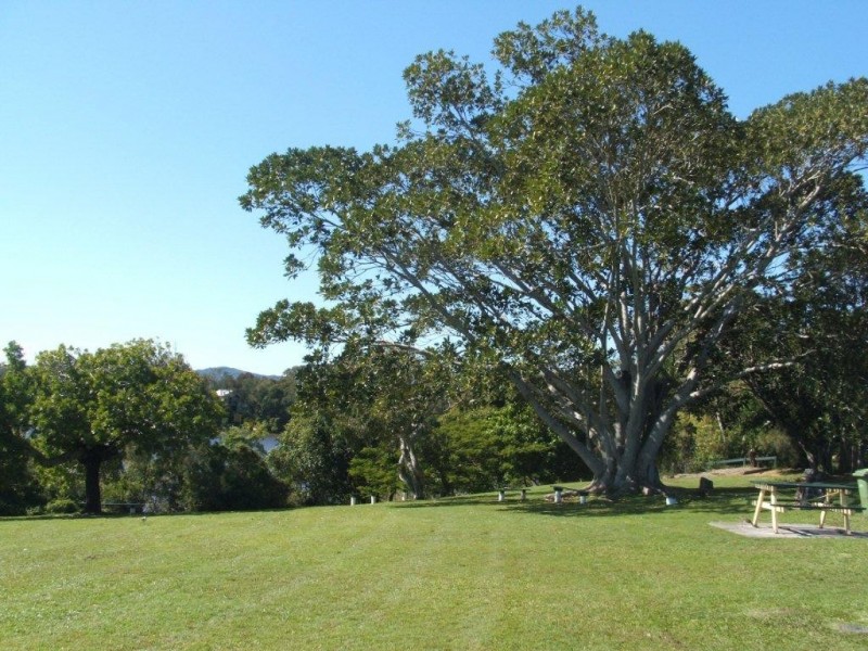 79 Poinciana Avenue, Tewantin QLD 4565