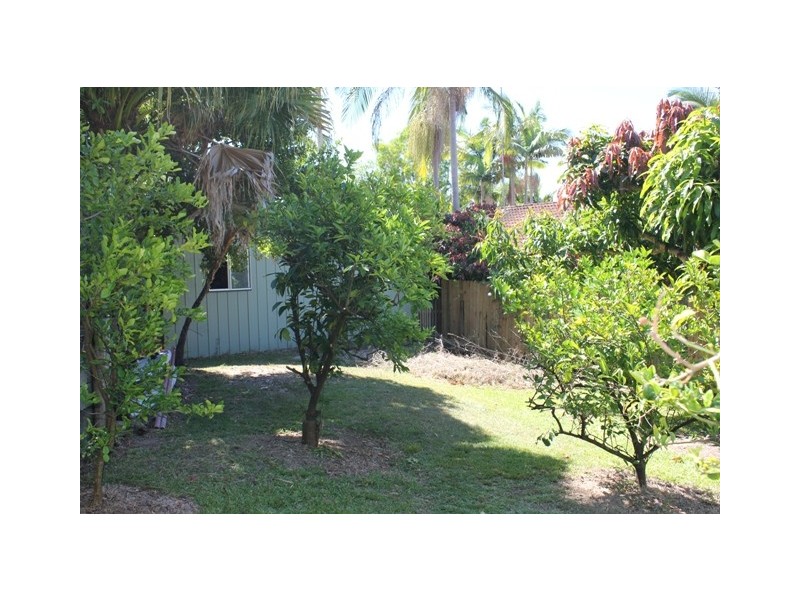 3 Birch Crt, Tewantin QLD 4565