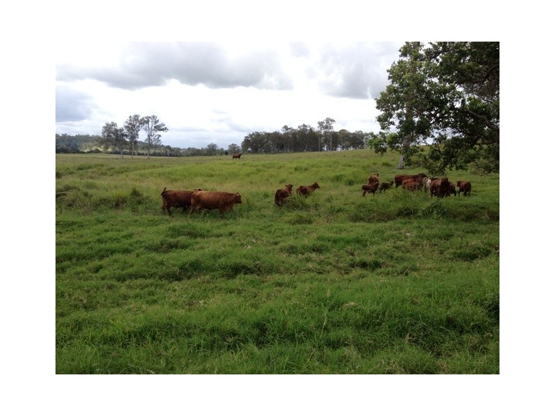 33 Poulsens Rd, Belli Park QLD 4562