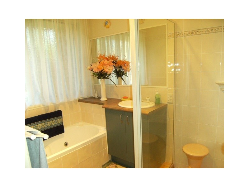 3 Homestead Dr, Tewantin QLD 4565