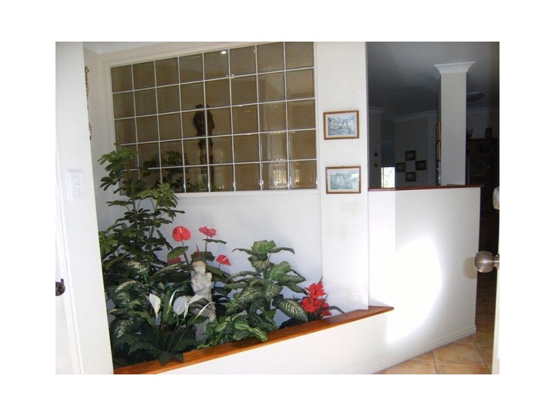 3 Homestead Dr, Tewantin QLD 4565