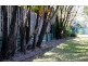 9 Satinwood St, Noosaville QLD 4566