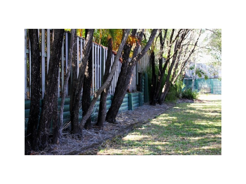 9 Satinwood St, Noosaville QLD 4566