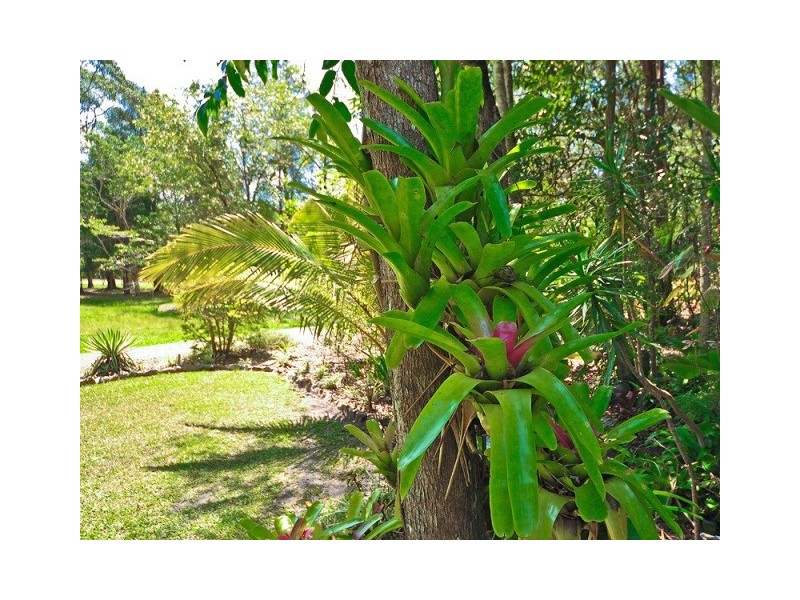 22 Laguna Grove, Doonan QLD 4562