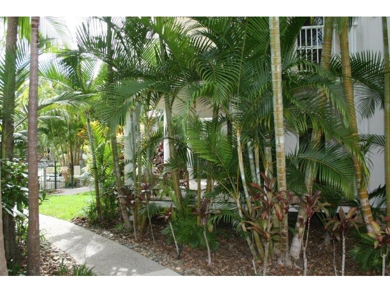 179 Weyba Road, Noosaville QLD 4566