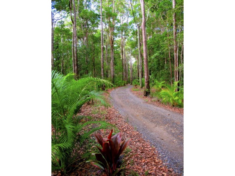 448 Lake Flat Road, Cootharaba QLD 4565