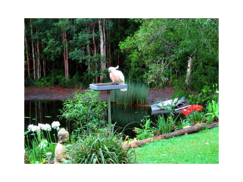 448 Lake Flat Road, Cootharaba QLD 4565