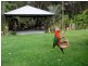 448 Lake Flat Road, Cootharaba QLD 4565