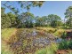Cooroy QLD 4563
