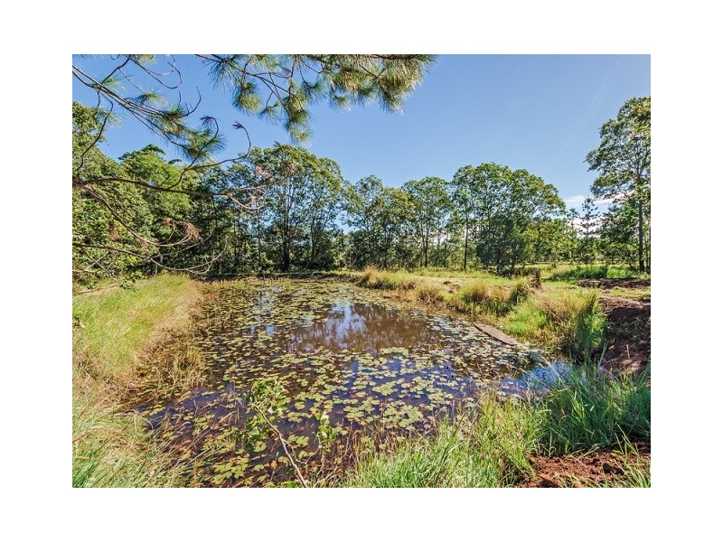 Cooroy QLD 4563