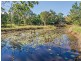Cooroy QLD 4563