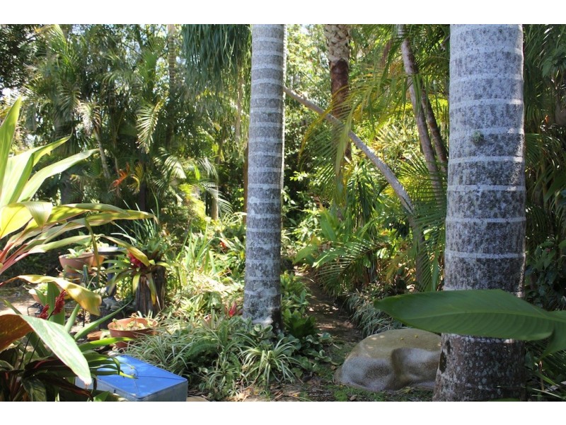 36 Hay Street, Tewantin QLD 4565