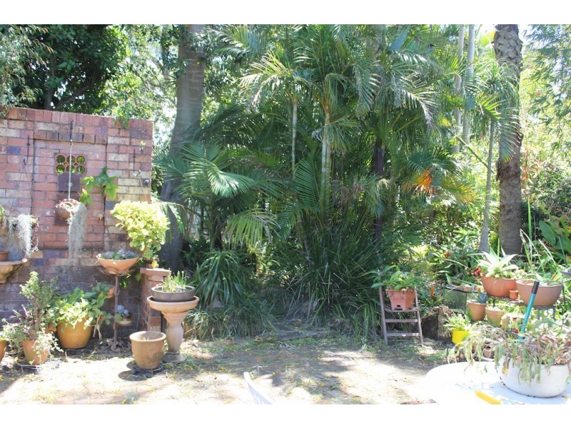 36 Hay Street, Tewantin QLD 4565