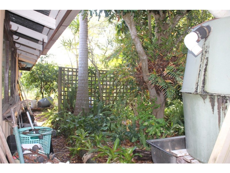 36 Hay Street, Tewantin QLD 4565