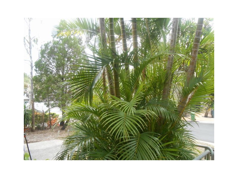 Noosa Heads QLD 4567