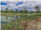 56 Eucalypt Way, Cootharaba QLD 4565