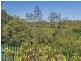 39 Tait Street, Tewantin QLD 4565