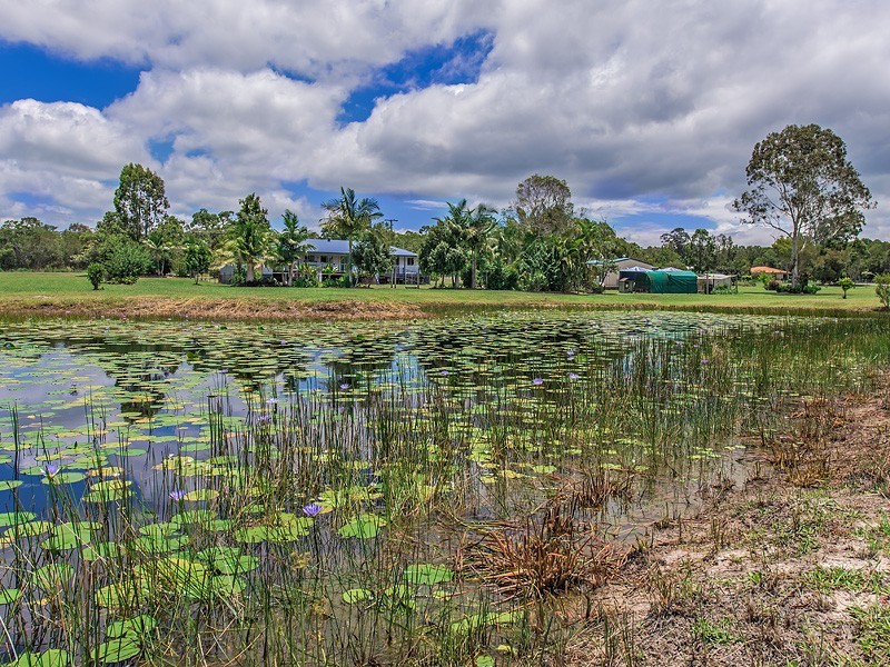 56 Eucalypt Way, Cootharaba QLD 4565