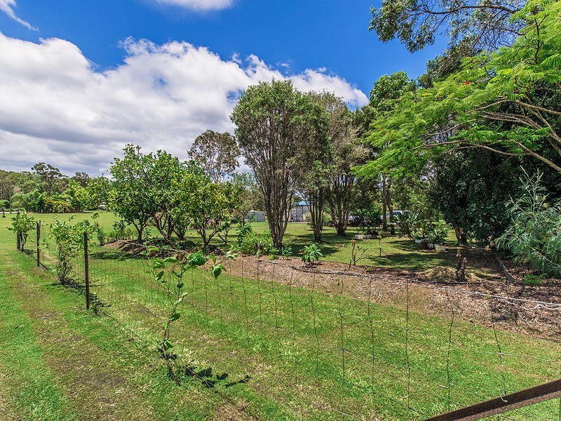 56 Eucalypt Way, Cootharaba QLD 4565