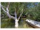 10 Yangubbi Lane, Cooroibah QLD 4565
