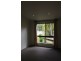 13 Cambuca Court, Tewantin QLD 4565