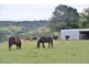 532 Black Mountain Road, Black Mountain QLD 4563