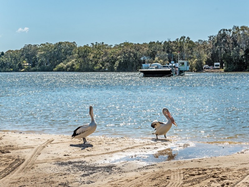 78 / 139 Moorindil Street, Tewantin QLD 4565