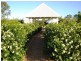 Cootharaba QLD 4565