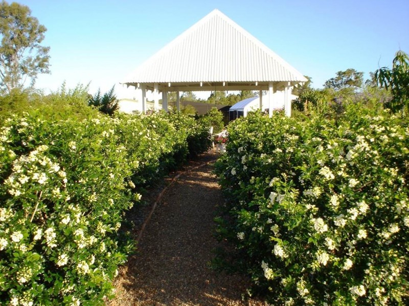 Cootharaba QLD 4565