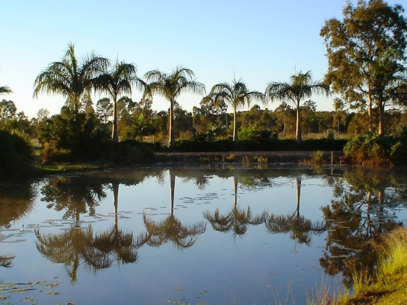 Cootharaba QLD 4565