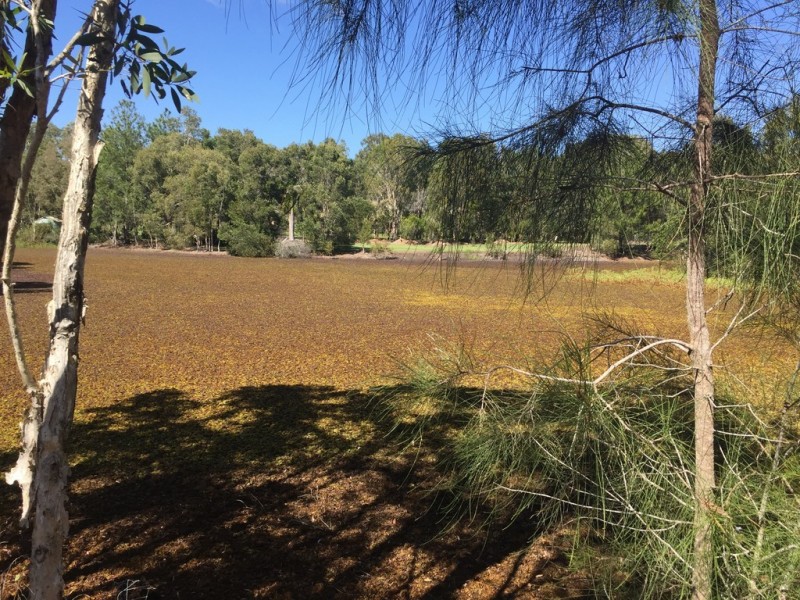 27a Jirrima Crescent, Cooroibah QLD 4565