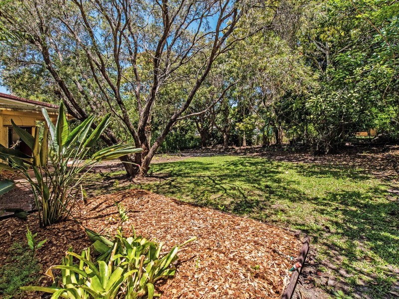 8 Joyce Street, Tewantin QLD 4565