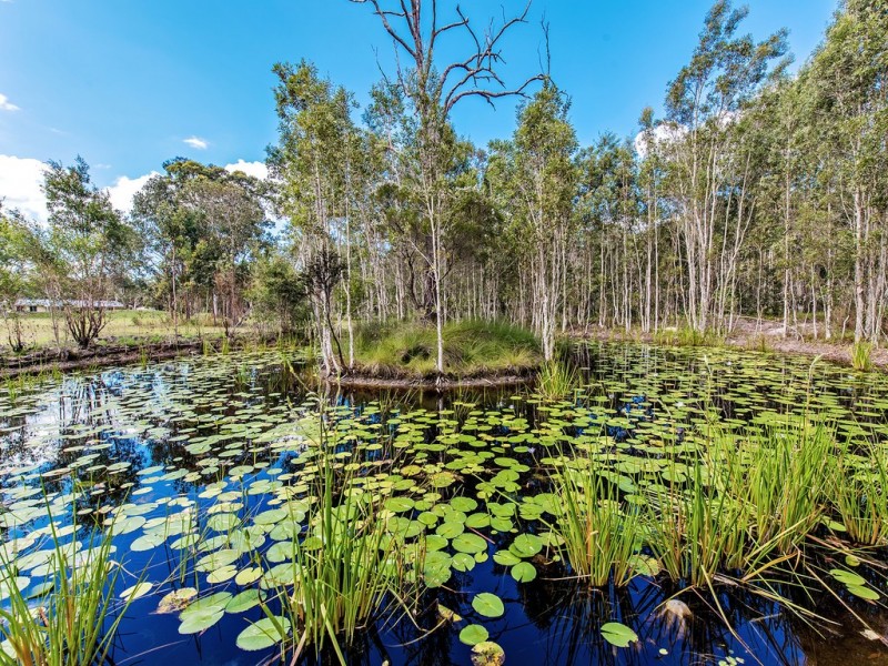 31 Turpentine Road, Cooroibah QLD 4565