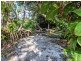 49 Mackerel Street, Noosa North Shore QLD 4565