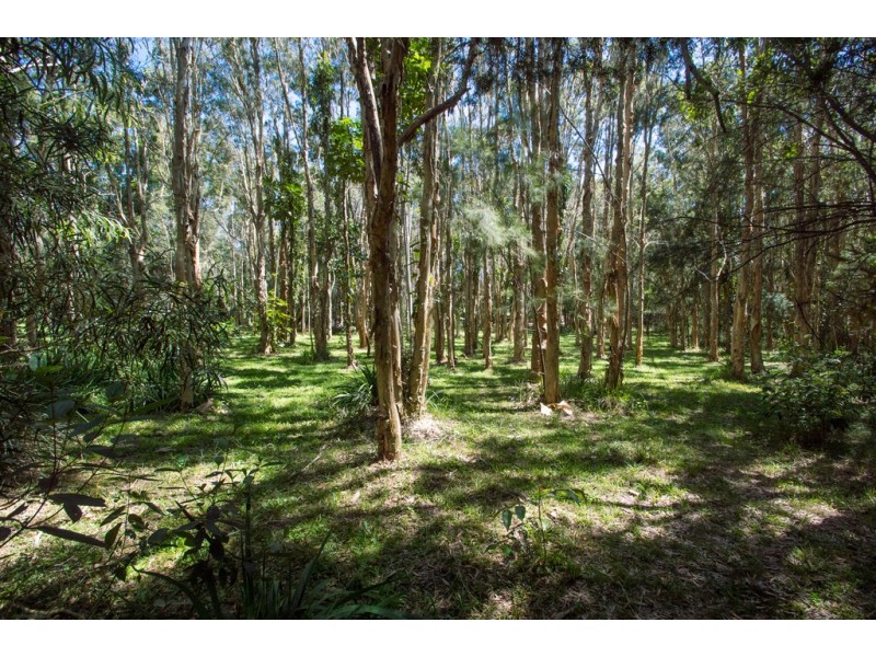 7 Coach Court, Cooroibah QLD 4565