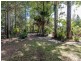 33 Griffith Avenue, Tewantin QLD 4565