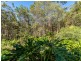31 Silkwood Drive, Noosaville QLD 4566