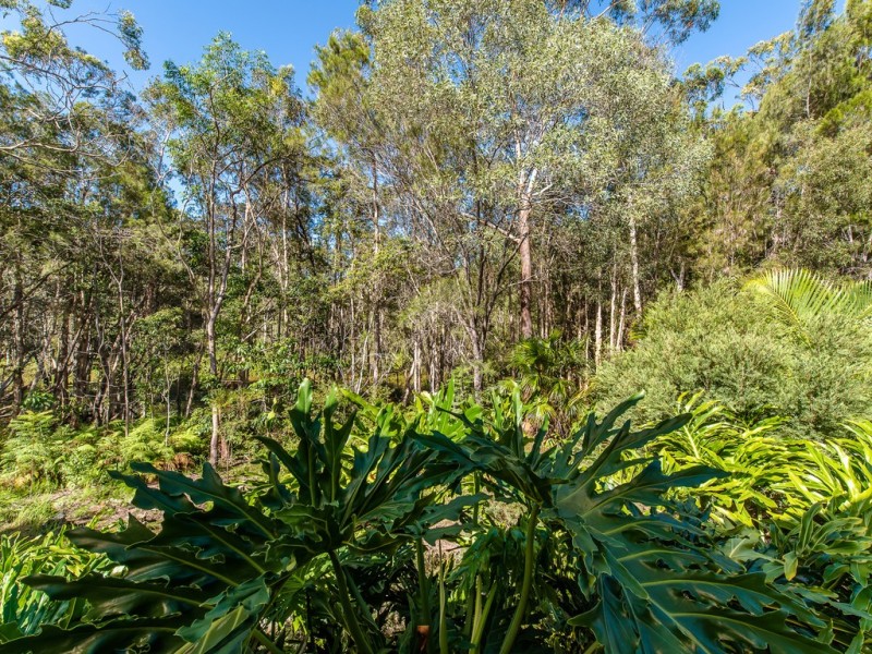 31 Silkwood Drive, Noosaville QLD 4566