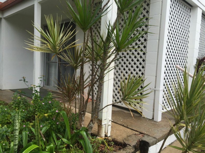 11 Joyce Street, Tewantin QLD 4565