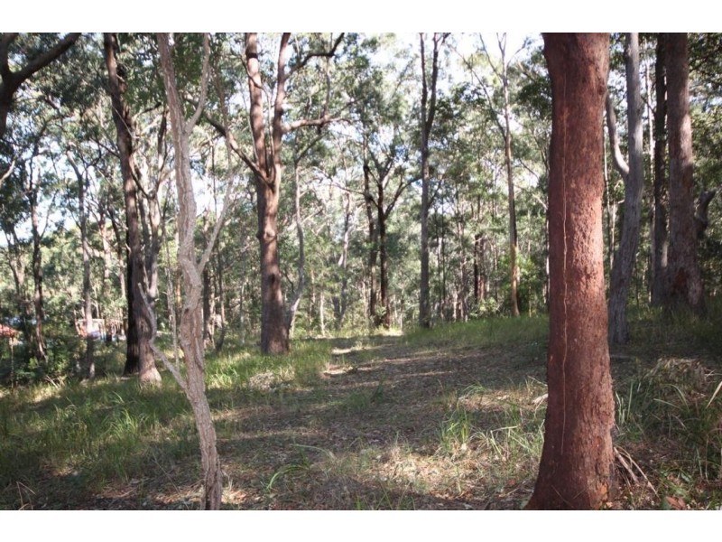Lot 1 Rollands Plains Road, Telegraph Point NSW 2441