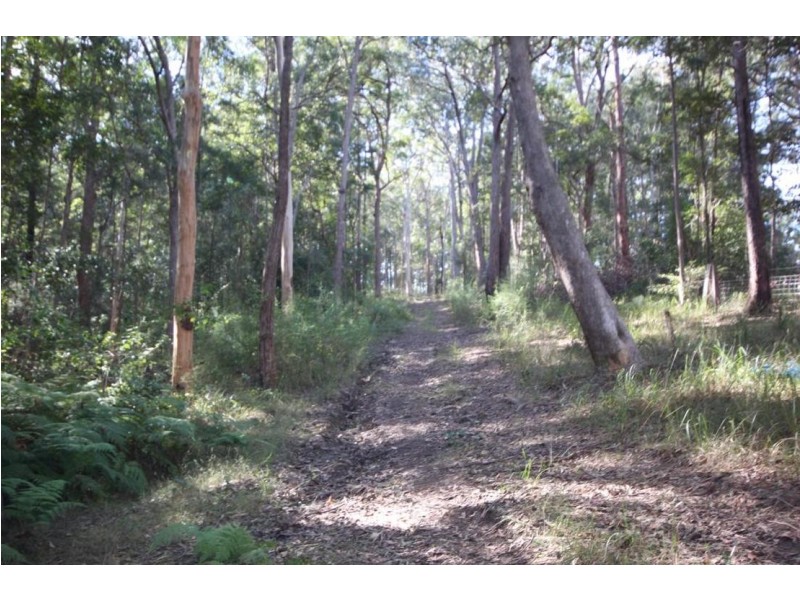 Lot 1 Rollands Plains Road, Telegraph Point NSW 2441